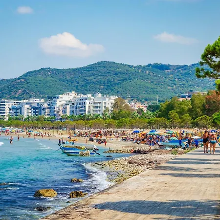 Golden Palm Radhime - Happy Vlore